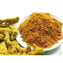 Hot Sale Turmeric Powder for Global Market